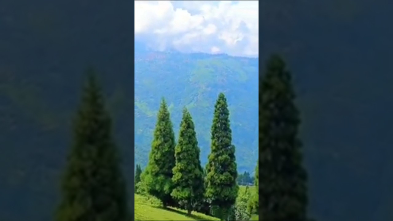 Way to sixth mile#shortvideo #shortsfeed #travel#inspiration #music #Deves Dungmali Duniya #mrbeast