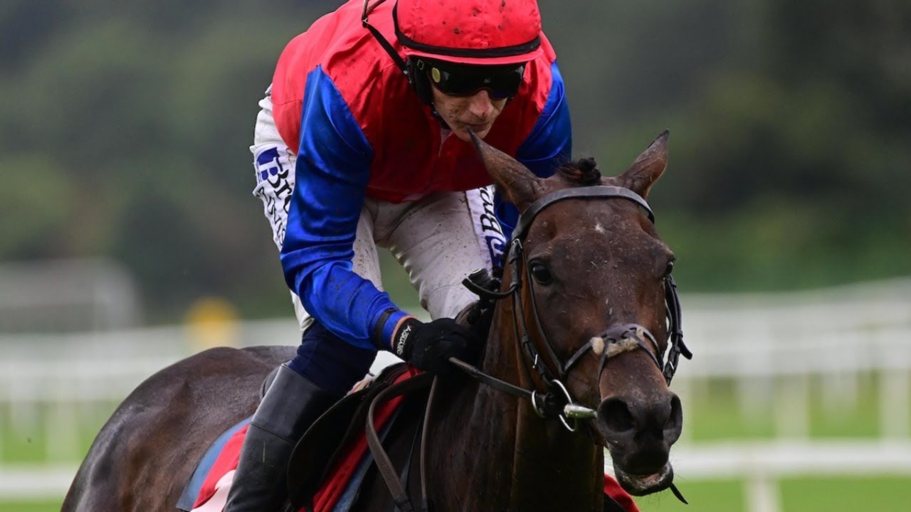 QUEVEGA'S daughter AURORA VEGA makes winning hurdling debut