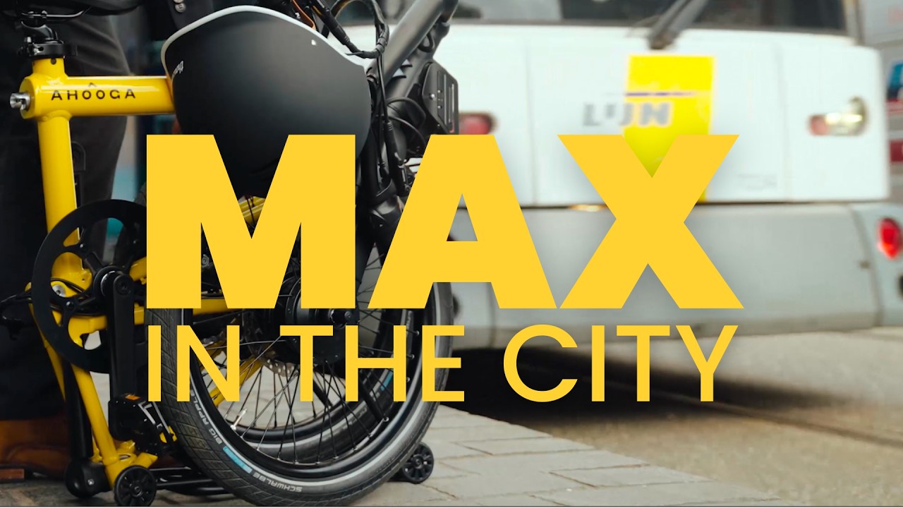 Max in the city (Antwerp, Belgium)