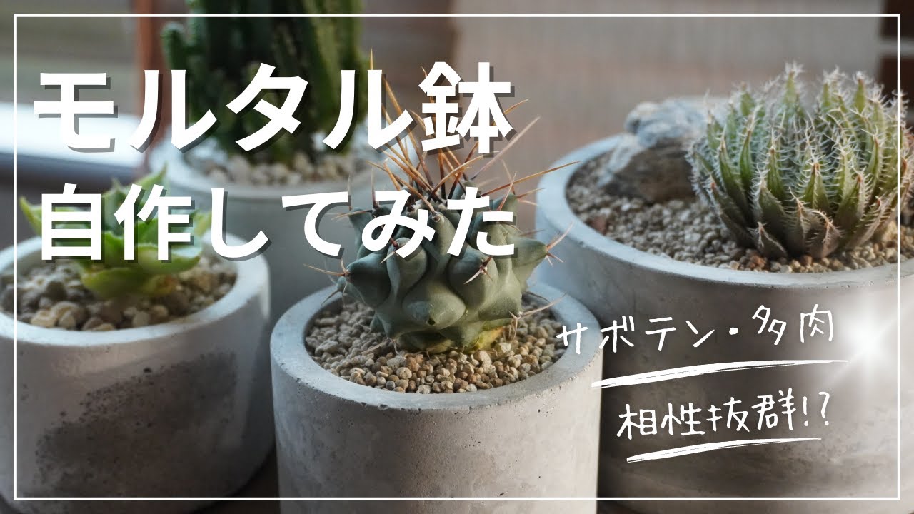 モルタル針diy|多肉・サボテンの植木鉢を100均セメントで自作！