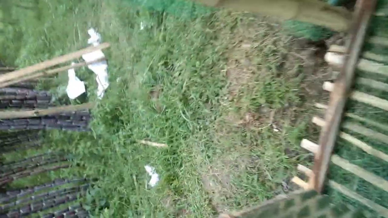 ADS Farming project. kamor, kaharol,dinajpur.