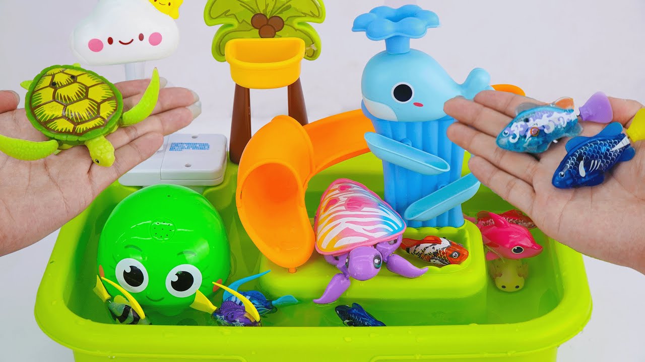 [Toy asmr] Zuru Robo Fish & Baby Shark's & Turtle RC & Swimming Fish ASMR Satisfying with Unboxing