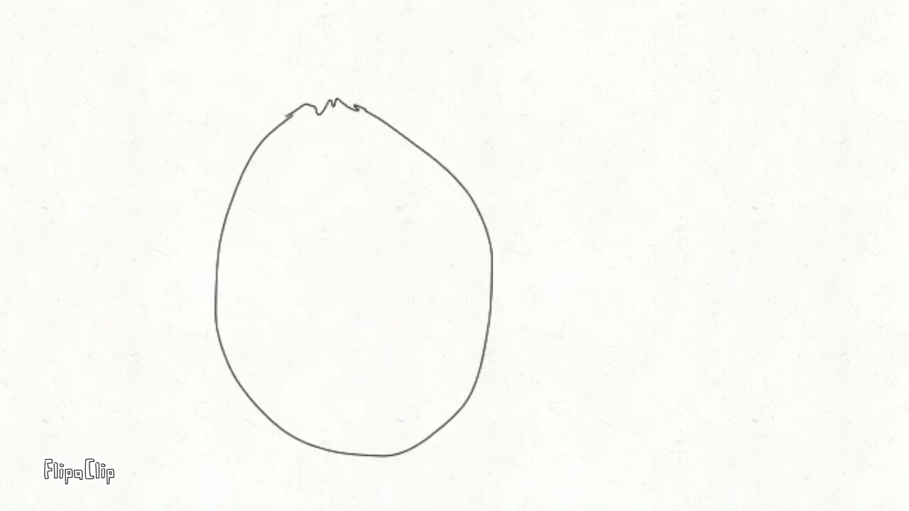 My First Animation