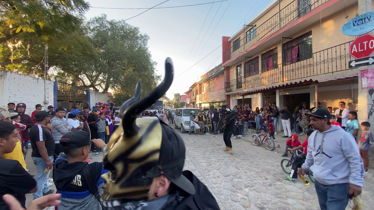 torito el panteonero duarte 2 enero 2021