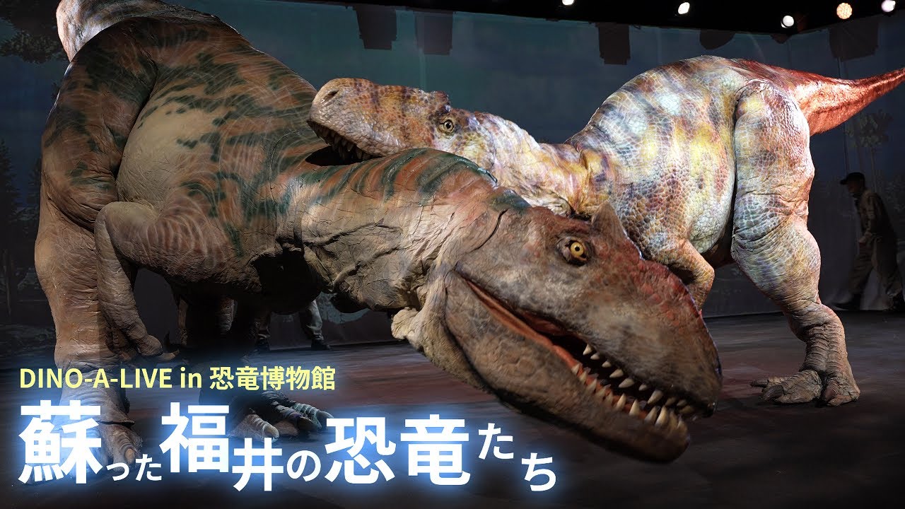 DINO-A-LIVE in 恐竜博物館 蘇った福井の恐竜たち 福井県立恐竜博物館リニューアル記念恐竜ライブショー／DINO-A-LIVE in dinosaur museum 2023 ≪4K≫