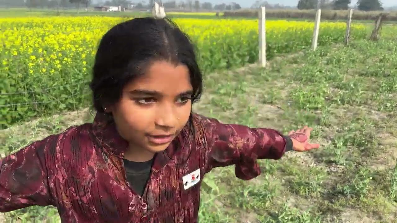 Aaj Mama ke khet me 1st blog #blogger #youtube
