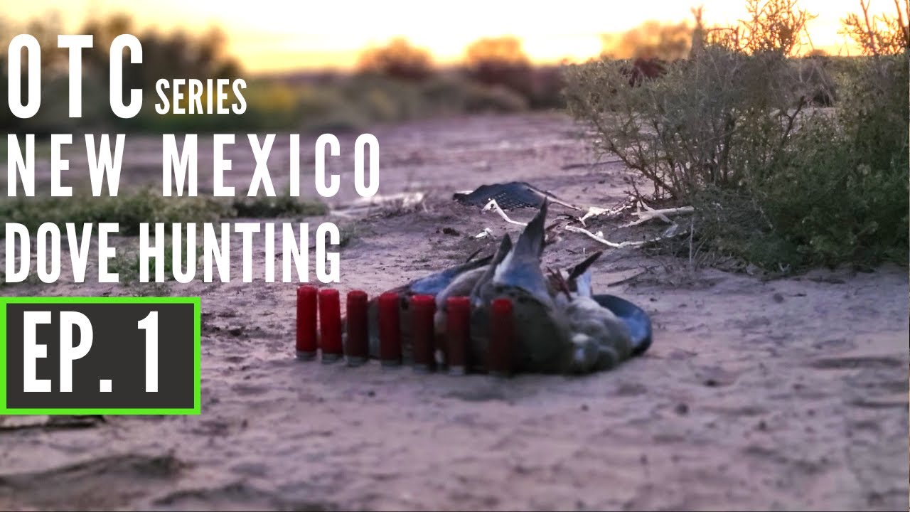 OTC Series New Mexico Dove Hunting