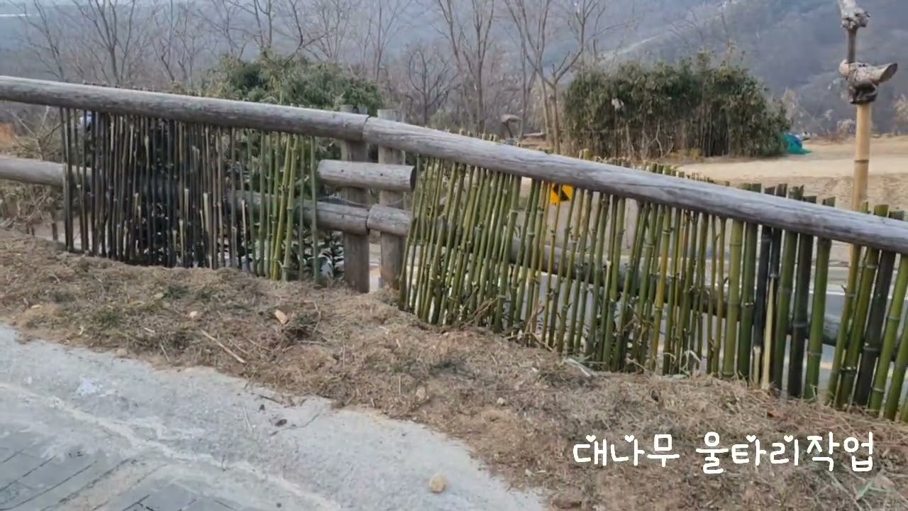 대나무 울타리