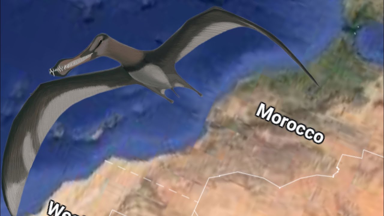 Prehistoric Creatures all Around the World S2 ( episode 13 ) Pterosaurs of Morocco