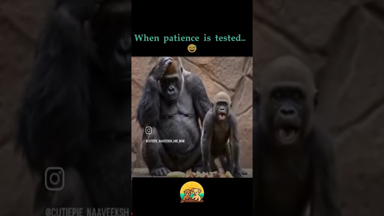 When Parenting Feels Like This&hellip; |🐒 Gentle Parenting vs. Toddler Chaos 😂