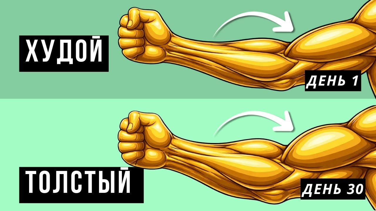 От ОБЫЧНЫХ ПРЕДПЛЕЧИЙ к БРУТАЛЬНЫМ всего с 2 УПРАЖНЕНИЯМИ!