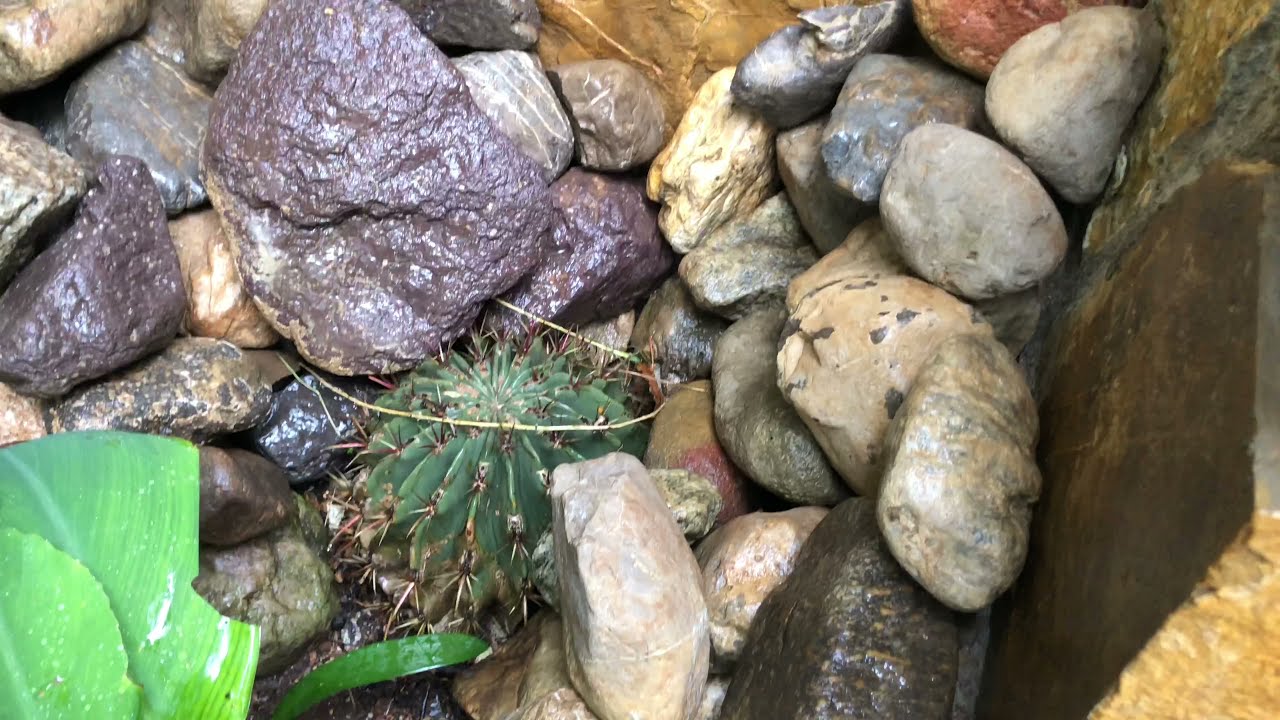 Increíble Temazcal Prehispánico hecho en el jardín de la 🏡