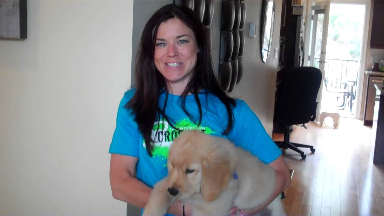 Victoria Carpet Care Testimonial: Carpet, Rug & Upholstery Cleaning, Victoria BC