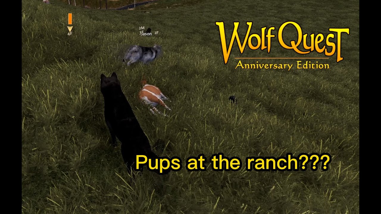 Pups at the Ranch??? (WolfQuest Anniversary Edition (Lost River DLC