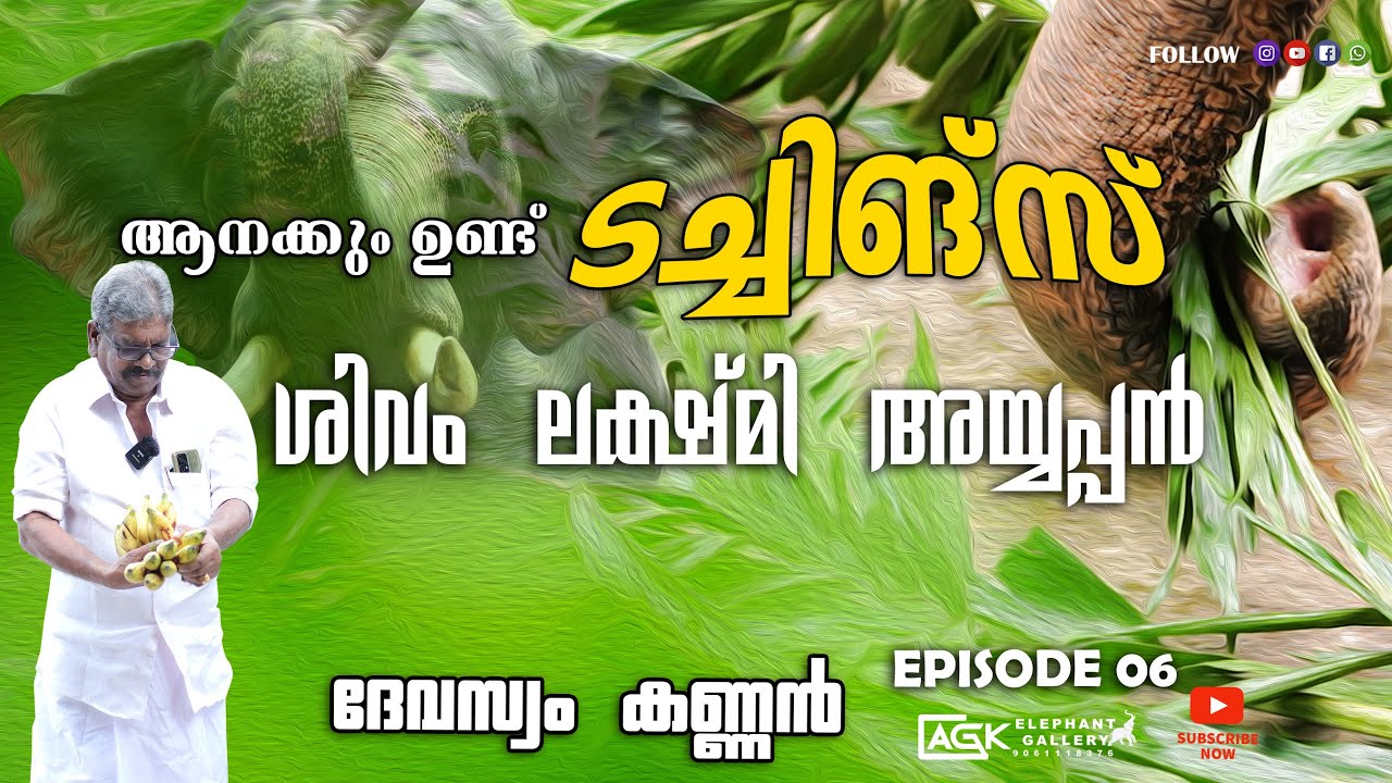ആനക്കും ഉണ്ട് ടച്ചിങ്‌സ് | ശിവം ലക്ഷ്മി അയ്യപ്പൻ | ദേവസ്വം കണ്ണൻ | EP 06