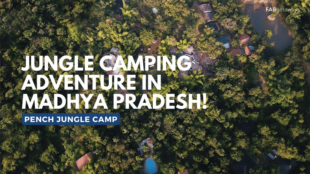 Pench Jungle Camp | Comfy Luxe in the Wild