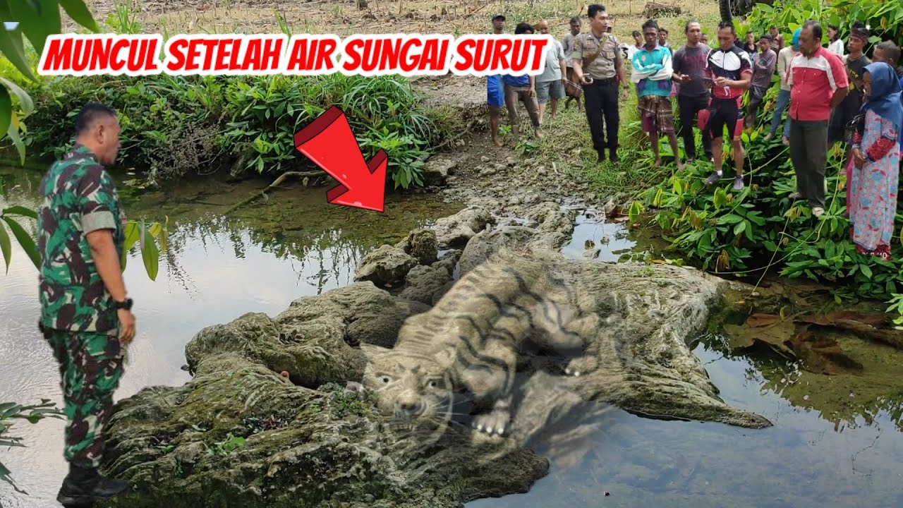 lamongan gempar.! awalnya dikira batu setelah di dekati semua kaget