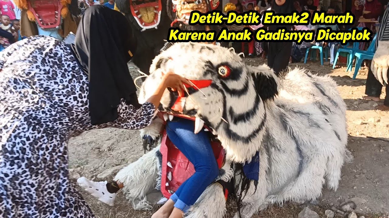Cewek Pink Dicaplok Barongan. New Pandawa Di Pundenarum