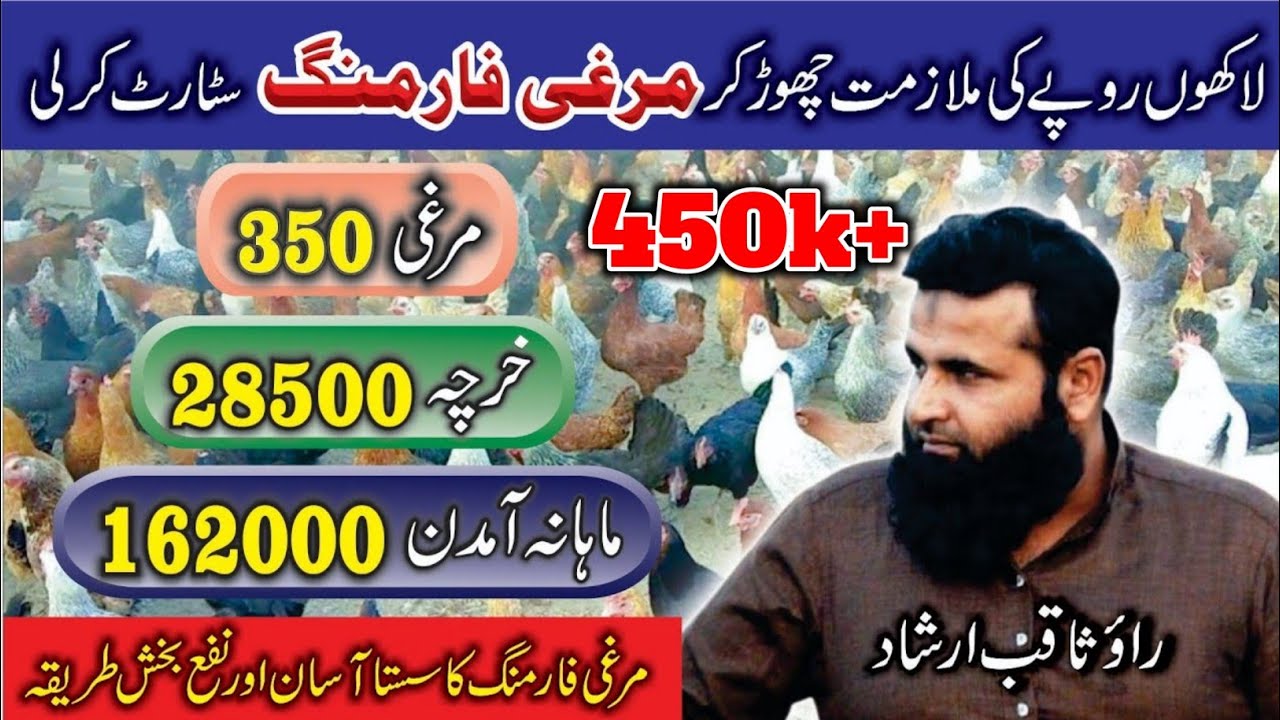 poultry farming best and profitable business idea in pakistan ssd punjab