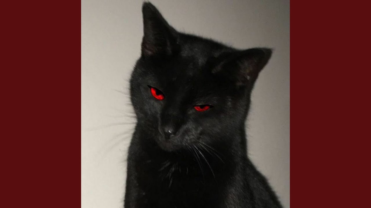 Uchiha