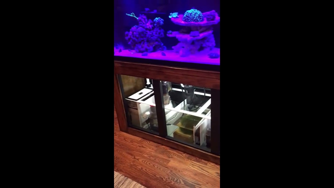 180 Gallon Reef Tank Ultimate Setup - What I did
