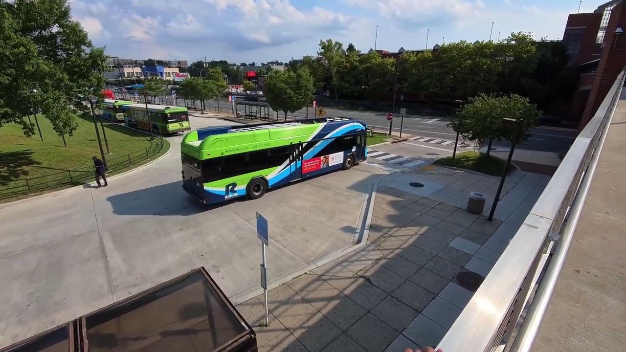 WMATA New Flyer Metrobuses & MCDOT Ride-On Gillig Buses | Transit Action Series 1