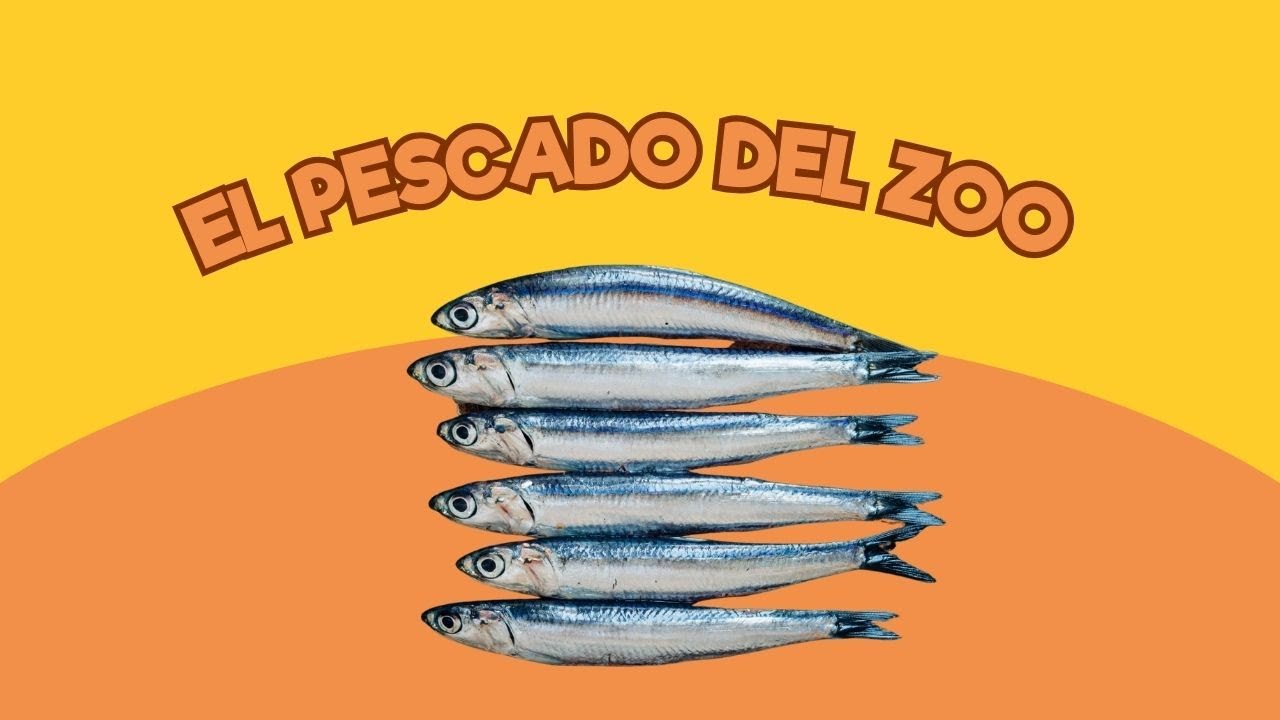 Viviendo en un Zoo: El pescado del Zoo | Santillana del Mar
