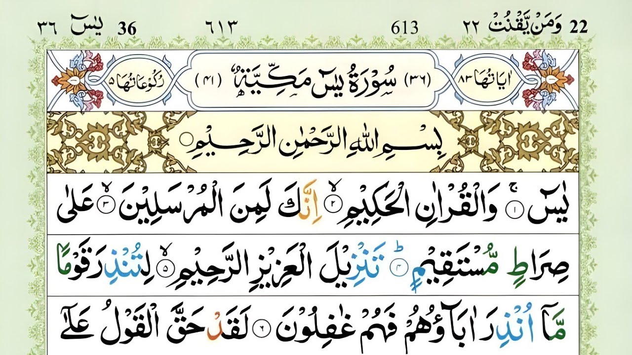 5 Surahs Ramadan Special for Peace, Barakah & Protection| Yaseen, Rahman, Mulk, Muzzammil, Waqiah