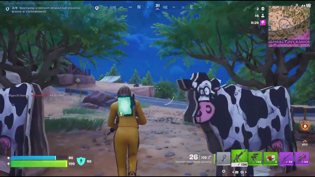 Fortnite_20260118152900