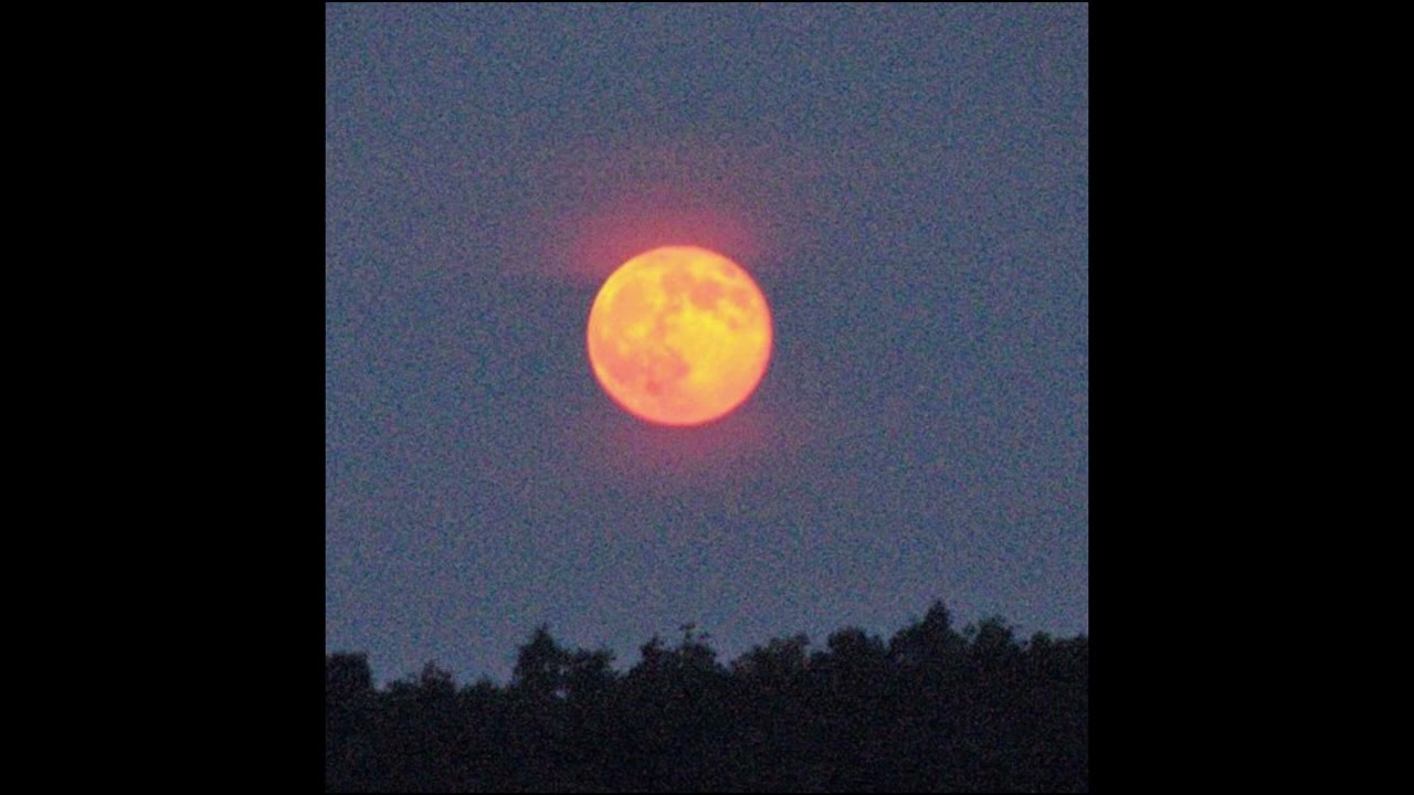 *FREE* WIFISFUNERAL TYPE BEAT - 