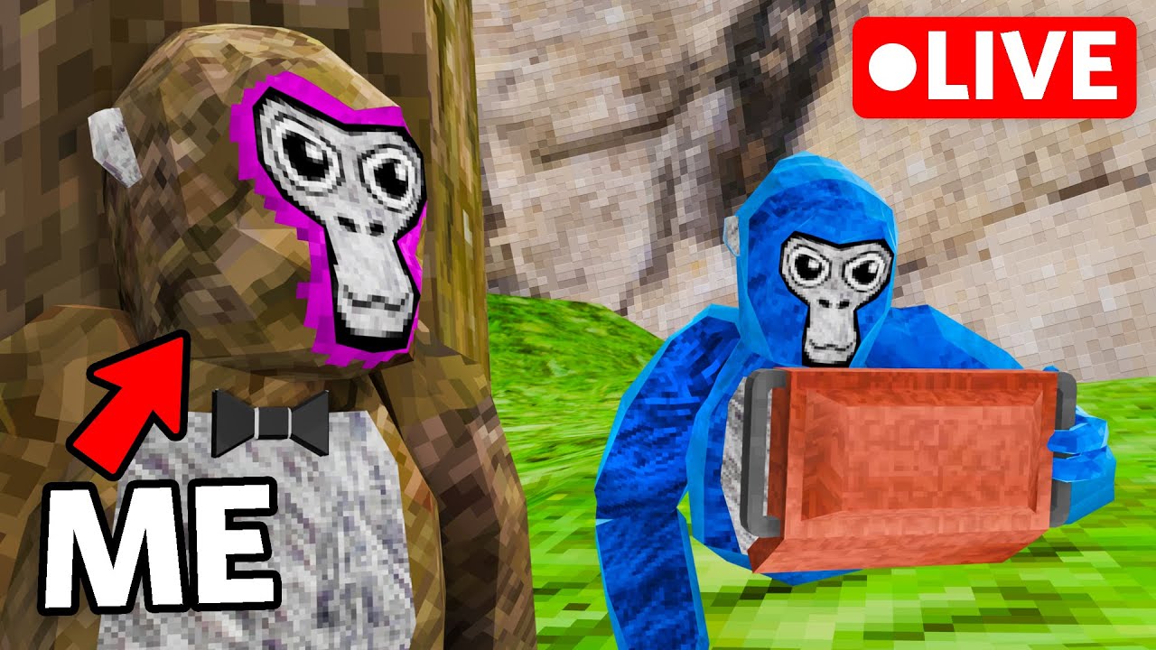 Secretly Hiding in Gorilla Tag Livestreams