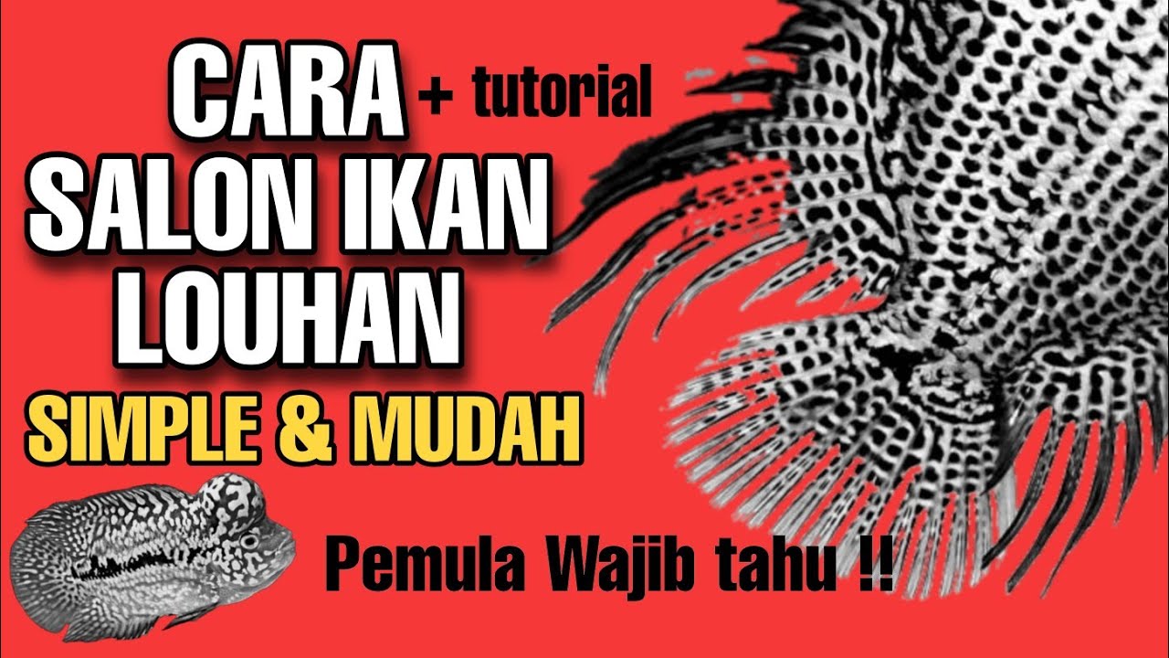 CARA SALON - FINTAIL LOUHAN  ( SIMPEL & MUDAH ) PEMULA WAJIB TAHU !!