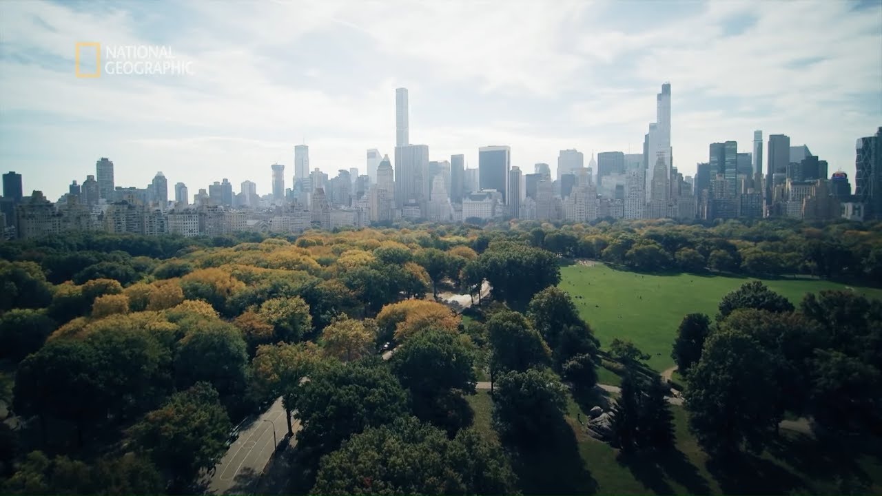 Zobacz ile znaczy Central Park dla nowojorczyków [Pomysł na miasto]
