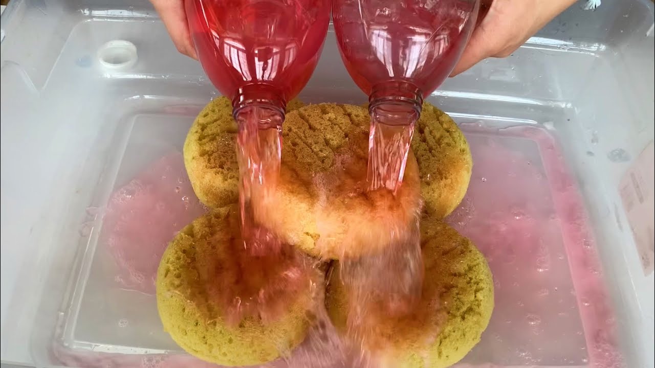 ✨ ASMR ODDLY SATISFYING SPONGE SQUEEZING ✨