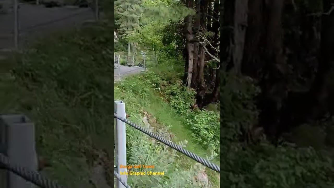 Donga Gali Track Travel Journey