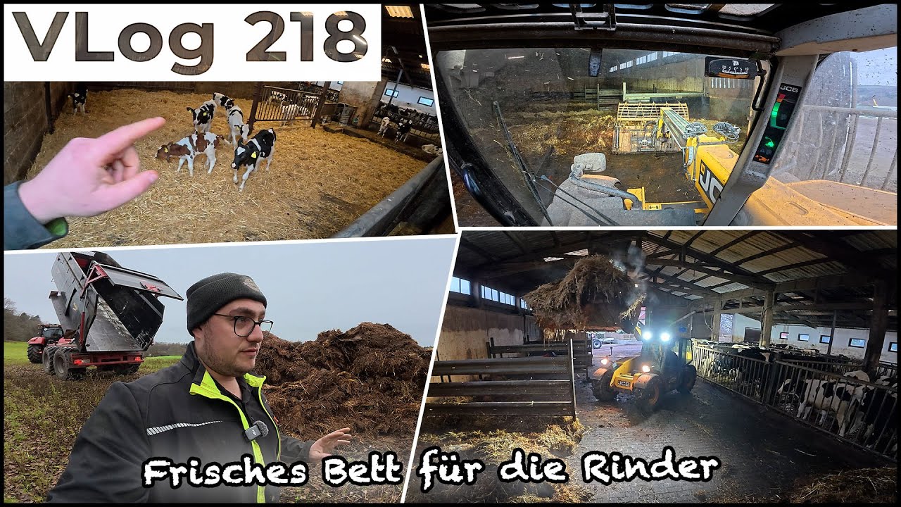 FarmVLOG#218: Große Mistaktion im Rinderstall