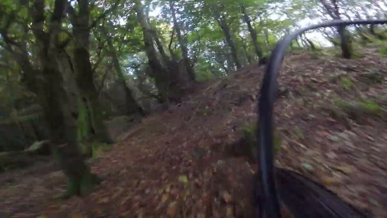 Short MTB ride in Donegal woods