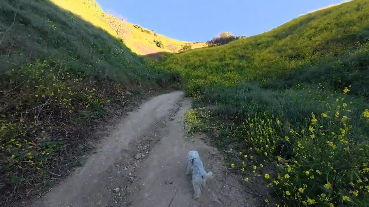 Horsethief Canyon Trail
