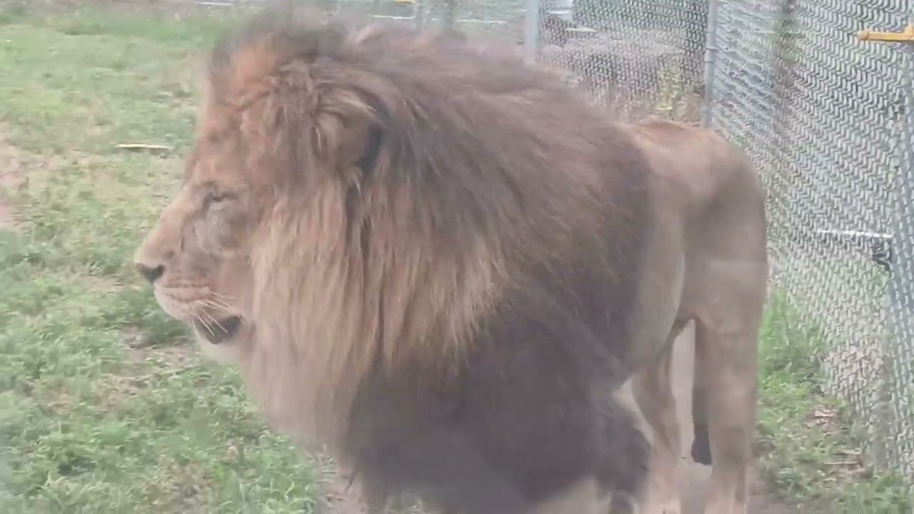 zoo great Bend Kansas