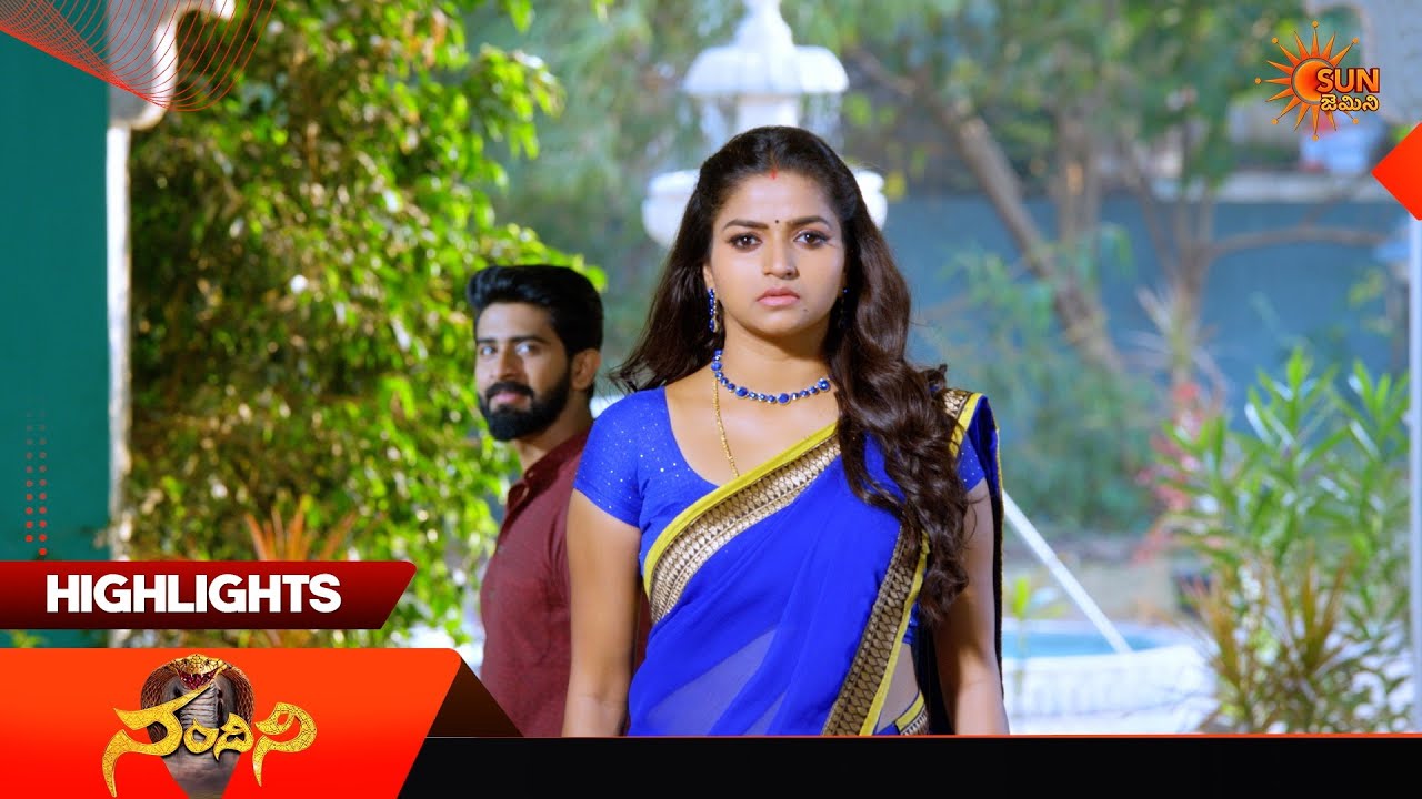 Nandini - Highlights of the day | Watch full EP Sun NXT | 08 July 2026 | Sun Gemini