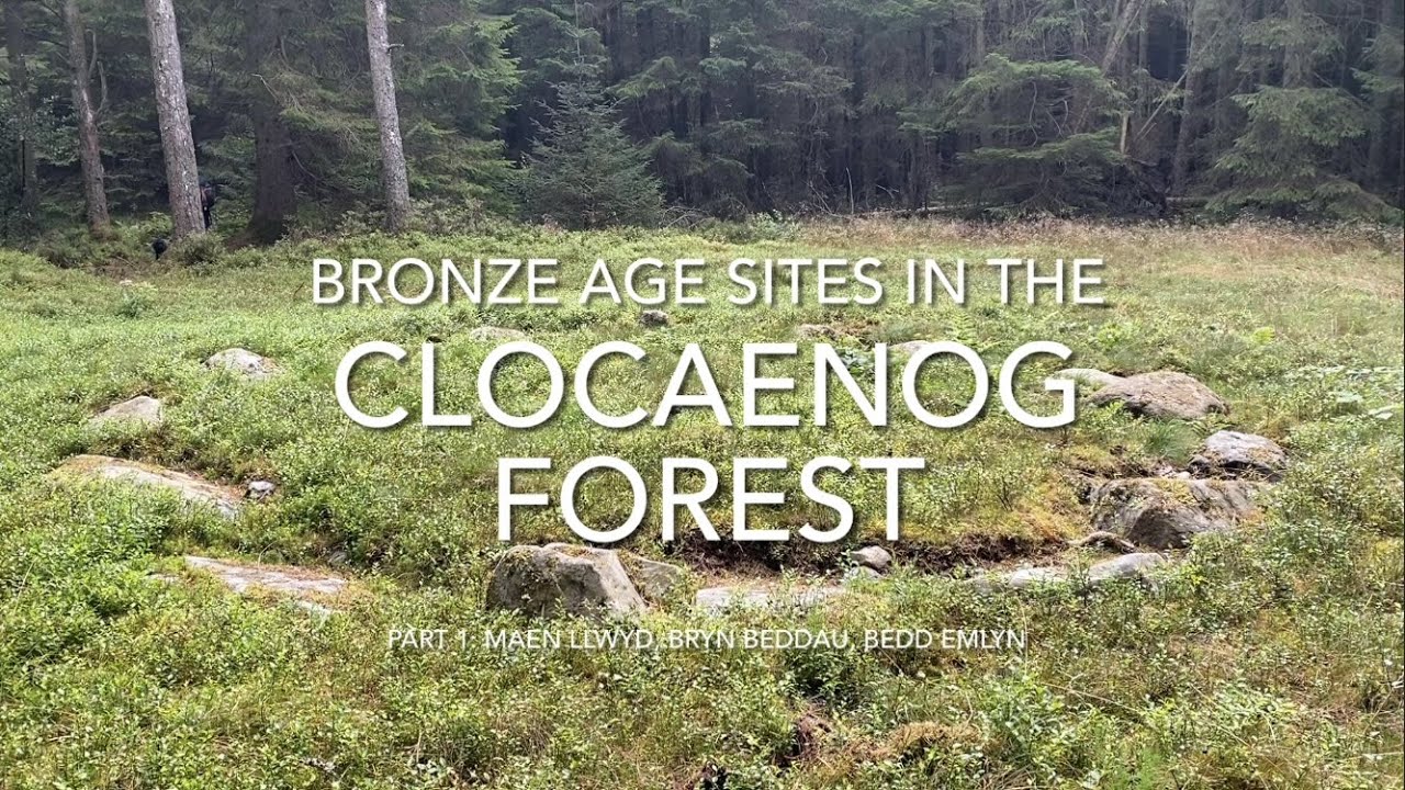 Bronze Age sites in the Clocaenog Forest Part 1: Maen Llwyd, Bryn Beddau and Bedd Emlyn