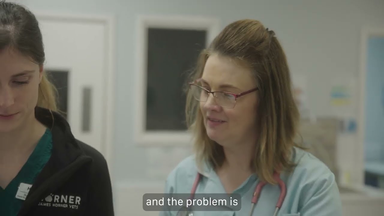 Sarah (James Horner Vets) - Apprentice Case Study