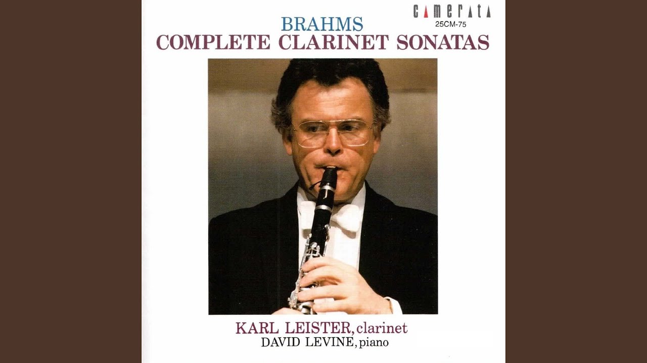 Clarinet Sonata in F Minor, Op. 120 No. 1: IV. Vivace