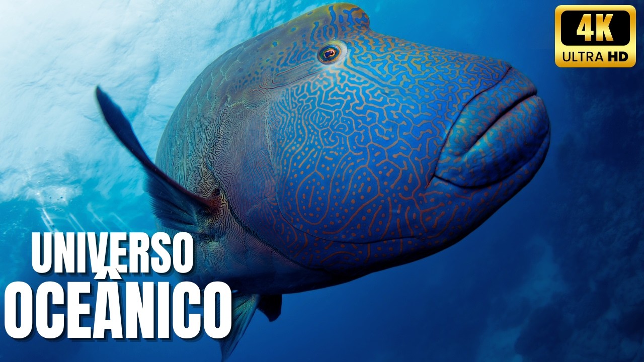 🌊 Oceano Selvagem: Caçadores Invisíveis das Profundezas - Documentário 🦑🦈