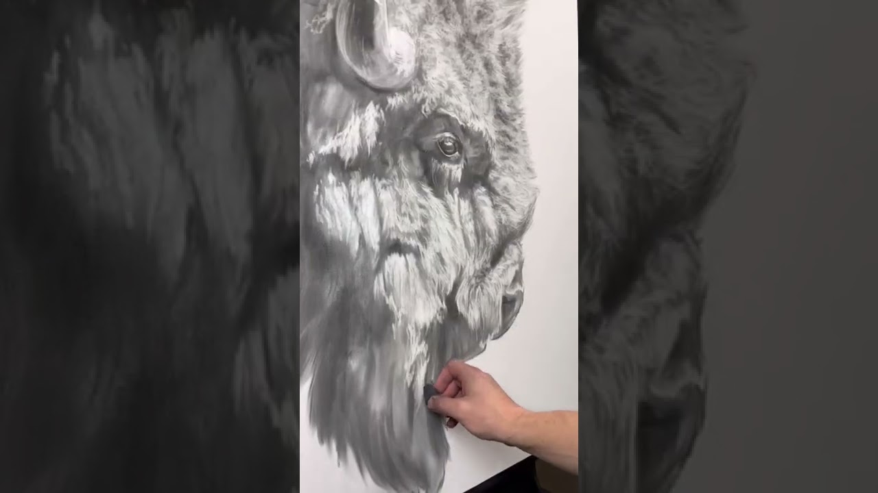 First short. Starting a new charcoal project. I love drawing bison. Work in progress&hellip;