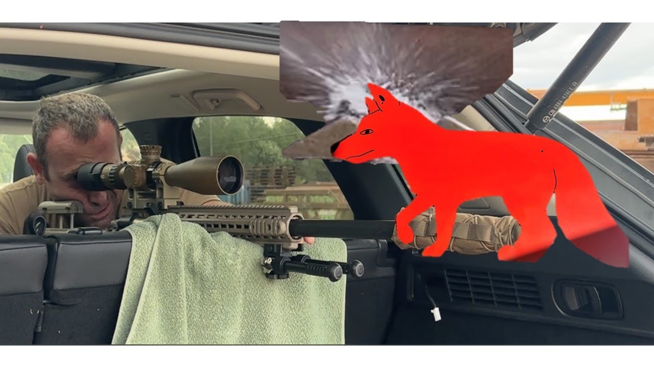 225 Meter ( 246 Yard ) Airgun Long Range shooting mit Altaros M24 Luftgewehr mit Steiner ZF.