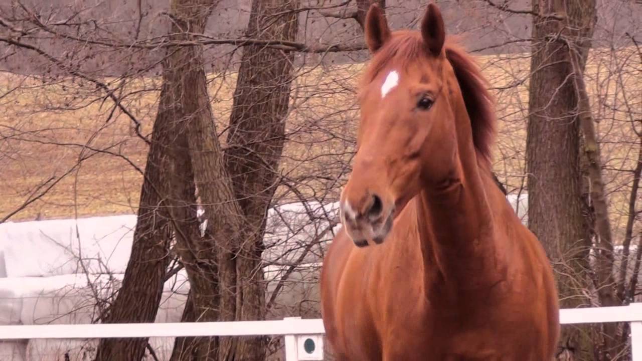 time of our lifes - goodbye Kali