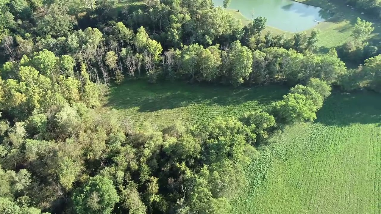 Horse Search