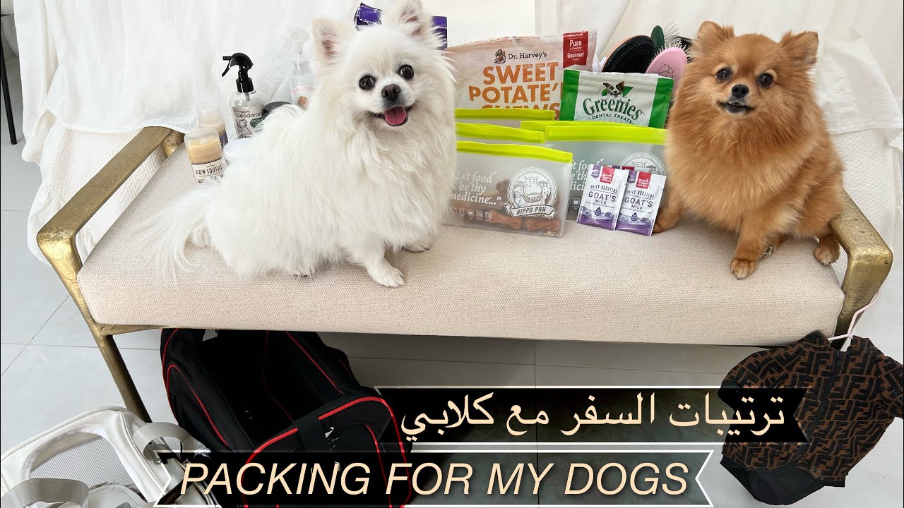 كيف استعد للسفر مع كلابي✈️🐾 | (منتجات ضرورية للسفر ) | Packing For My Dogs