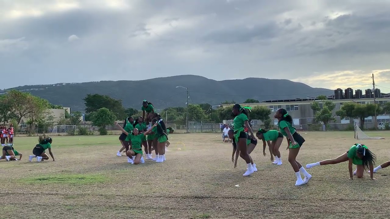 Sports Day 2025 - Cowper Cheerleading